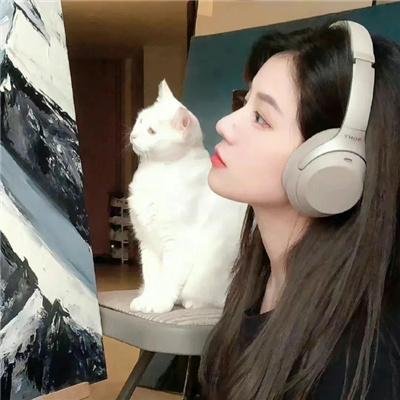 怒放的铁甲